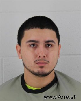 Carlos Francisco Gonzales-gustin Mugshot