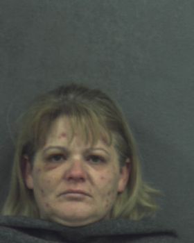 Cynthia  Ross Mugshot