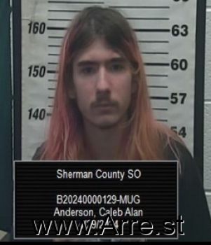 Caleb Alan Anderson Mugshot