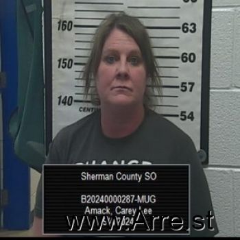 Carey Lee Amack Mugshot