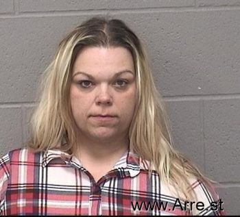 Christina Lynn Austin Mugshot