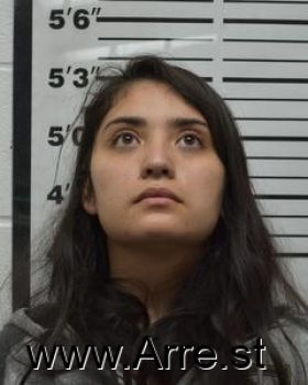 Christina Marie Gutierrez Mugshot