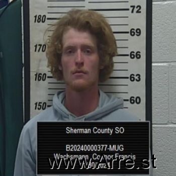 Connor Francis Washsmann Mugshot