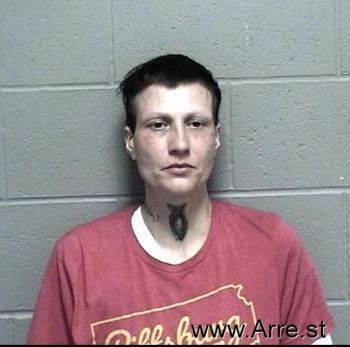 Crystal Ray Stevens Mugshot