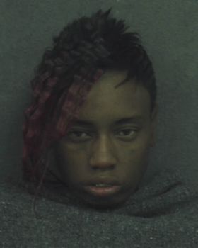 Davida Marie Carter Mugshot