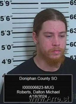 Dalton Michael Roberts Mugshot