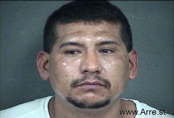 Daniel  Navarro-galeana Mugshot