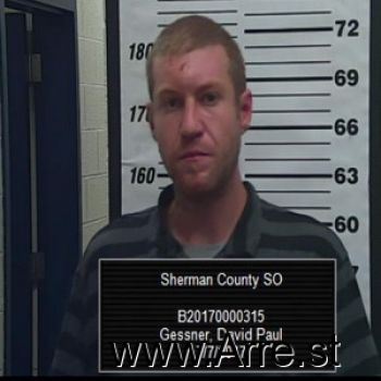 David  Gessner Mugshot