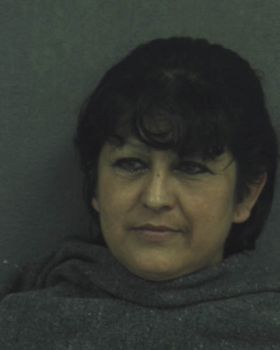 Elizabeth R Gonzalez Mugshot