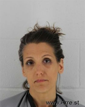 Erica Lyn Williams Mugshot