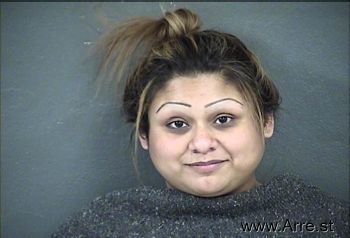 Elena  Hernandez Mugshot