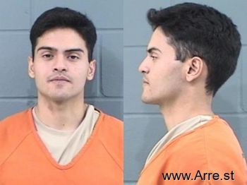 Ernesto Nmn Rodriguez-rodarte Mugshot