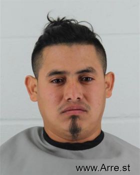 Fredy Mauricio Ramirez-reyes Mugshot