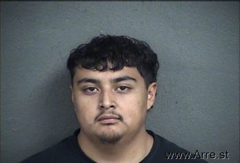 Fredy J Romero-guzman Mugshot