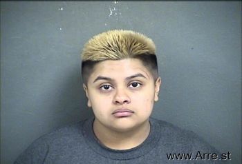 Gabriela  Anguiano Mugshot