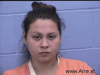 Gabriela Nicole Sanchez Mugshot