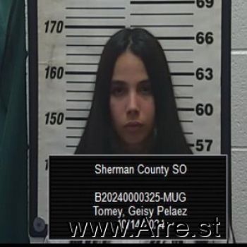 Geisy Pelaez Tomey Mugshot