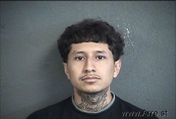 Herman Gabriel Gonzalez-garcia Mugshot