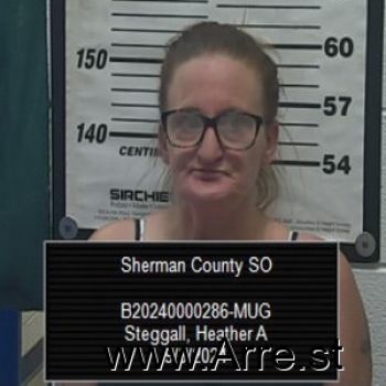 Heather A Steggall Mugshot