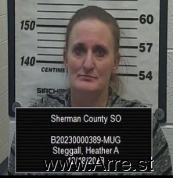 Heather A Steggall Mugshot