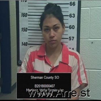 Idalia  Martinez Mugshot