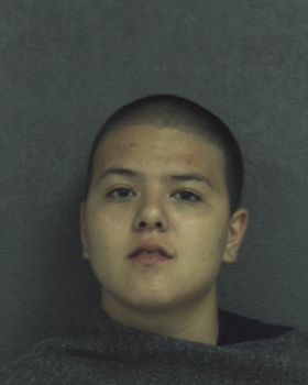 Josephine  Romero Mugshot