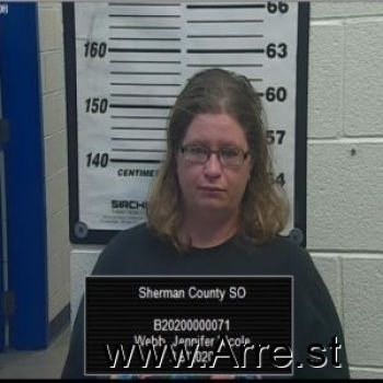 Jennifer  Webb Mugshot