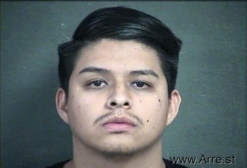 Julio Cesar Jr Holguin-campos Mugshot