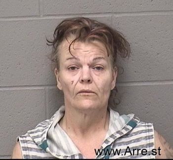 Karen Michelle Holsinger Mugshot