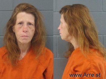 Kelly Ann Johnston Simmons Mugshot