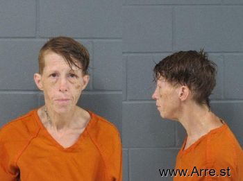 Kelly Ann Johnston Simmons Mugshot