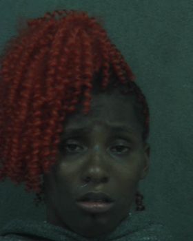 Lashonda Sherell Conner-wilkins Mugshot