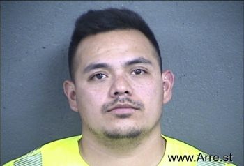 Luis Damian Romero-espinoza Mugshot