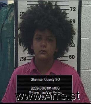 Lindsey Renea Wilson Mugshot