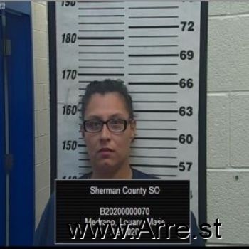 Louann  Medrano Mugshot