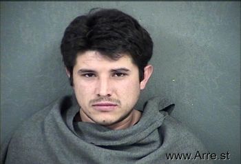 Luis Martin Avila-becerril Mugshot