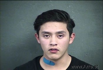 Luis Gustavo Moreno-castro Mugshot