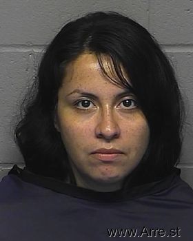 Maria Enes Sanchez Mugshot