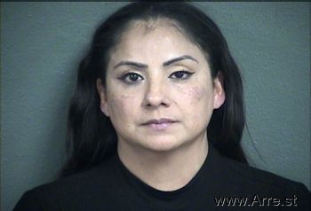 Maria Luisa Sanchez Mugshot