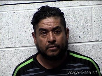 Mauricio  Gonzalez Avila Mugshot