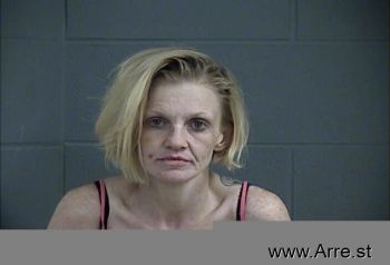 Megan Lynn Boyd Mugshot