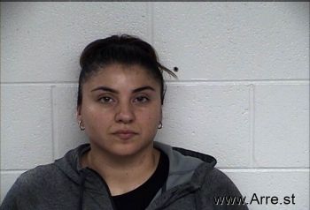 Michelle Alexandra Alvarez Mugshot