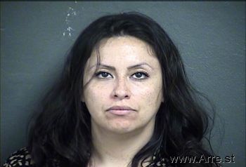 Maria Enes Sanchez Mugshot