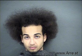 Mason  Williams Mugshot