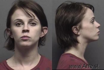 Megan Lynn Ellison Mugshot