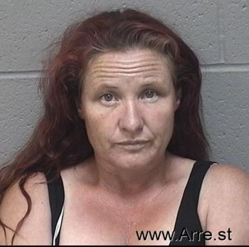 Melinda Diane Wisek Mugshot