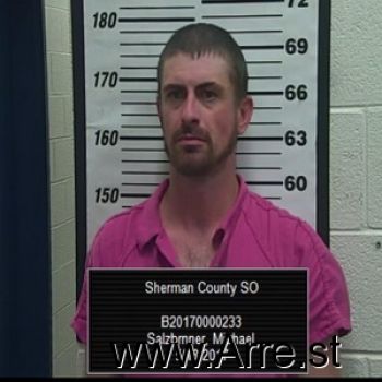 Michael  Salzbrnner Mugshot