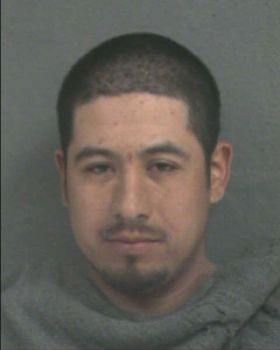 Nelson  Cardona Mugshot