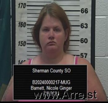 Nicole Ginger Barnett Mugshot