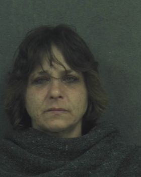 Patricia Ann Butler Mugshot